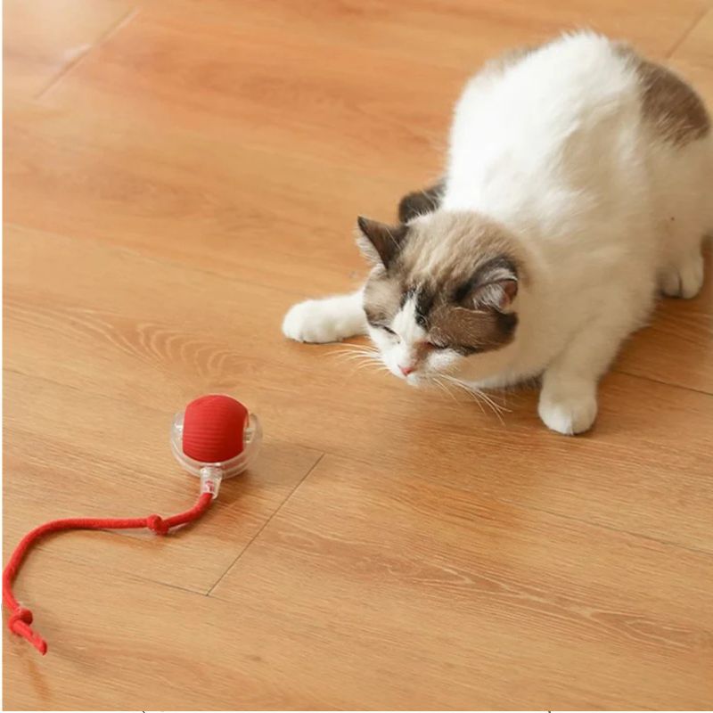 Brinquedos Interativos para Gatos, Bola Elétrica Automática- Bola Mágica Felina