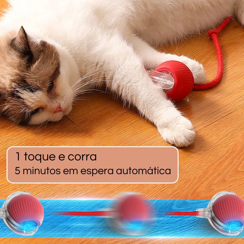 Brinquedos Interativos para Gatos, Bola Elétrica Automática- Bola Mágica Felina